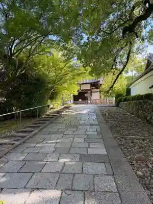 青蓮院門跡(京都府)