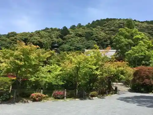 禅林寺（永観堂）の庭園