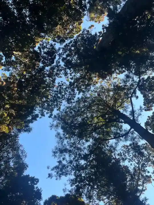 鹿島神宮(茨城県)