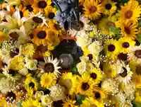 札幌諏訪神社の手水舎