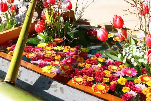 三津厳島神社の手水舎