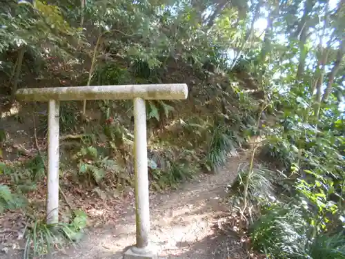 甘縄神明神社（甘縄神明宮）の鳥居