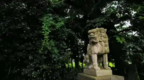 武蔵野神社の狛犬