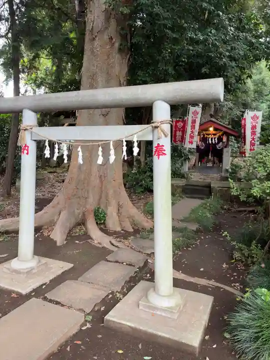 馬場氷川神社(埼玉県)