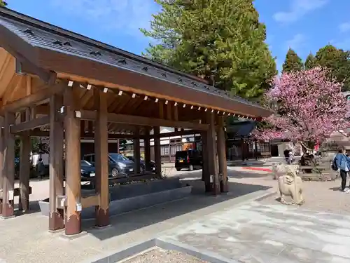 射水神社の手水