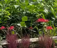 国上寺(新潟県)