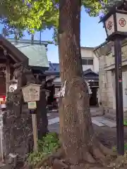 三島神社の自然