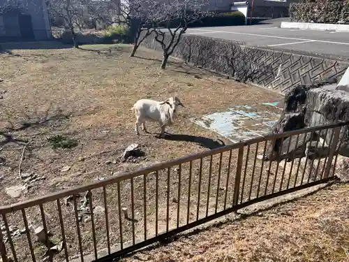 聖應寺(愛知県)
