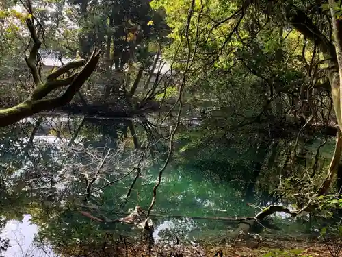 丸池神社(山形県)