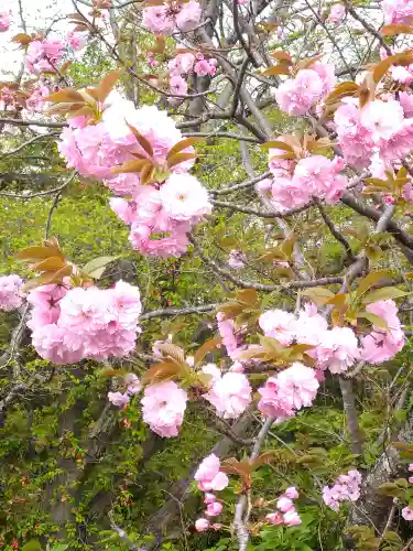 和霊神社の自然