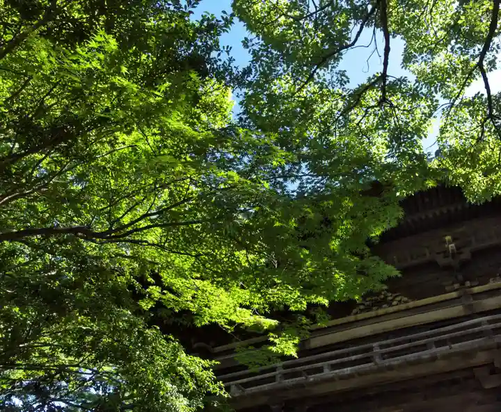 笠覆寺 (笠寺観音)の山門・神門