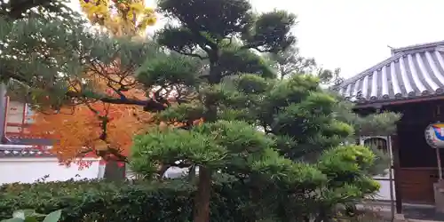 祐正寺の庭園
