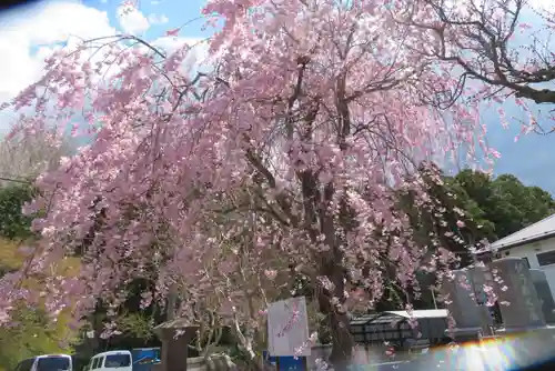 月心院(福島県)