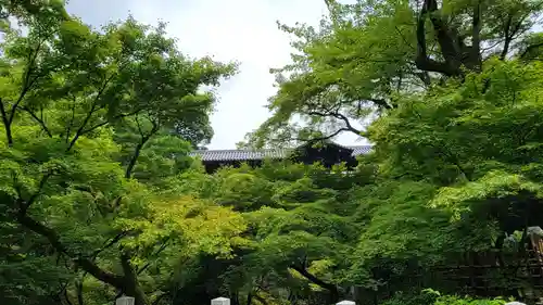 東福禅寺（東福寺）の庭園