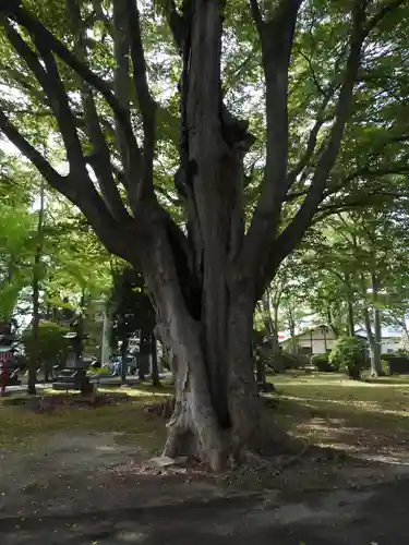 日吉神社(秋田県)