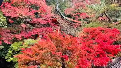 毘沙門堂門跡(京都府)