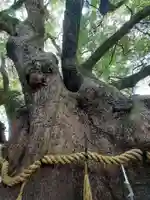 三島神社(大阪府)