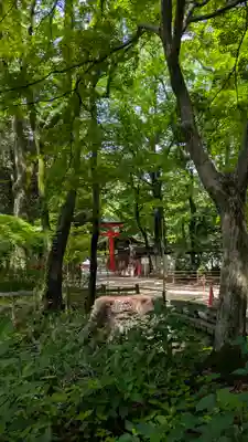 賀茂御祖神社（下鴨神社）(京都府)
