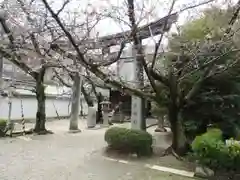 道明寺天満宮の鳥居