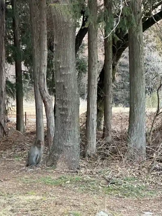 槻井泉神社の{uncategorized: "未分類", other: "その他", undefined: "問題あり", building: "その他建物", grave: "お墓", sacred_gate: "鳥居", guardian: "狛犬", statue: "像", buddha: "仏像", history: "歴史", nature: "自然", garden: "庭園", animal: "動物", pagoda: "塔", temizu: "手水舎", mountain_gate: "山門・神門", sanctuary: "本殿・本堂", subordinate: "末社・摂社", art: "芸術", scenery: "景色", jizo: "地蔵", ema: "絵馬", goshuin: "御朱印", omikuji: "おみくじ", items: "授与品その他", amulet: "お守り", goshuincho: "御朱印帳", eats: "食事", festival: "お祭り", votive_dance: "神楽", shichigosan: "七五三参", wedding: "結婚式", experience: "体験その他", initially: "初詣", around: "周辺", anti_infection: "感染症対策"}