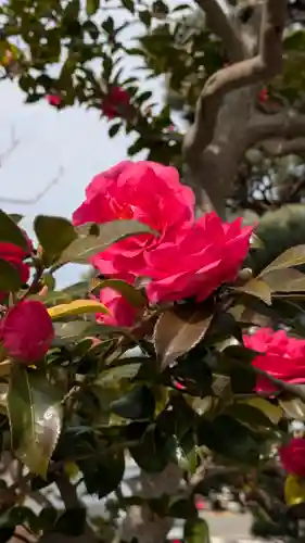 常善寺(滋賀県)