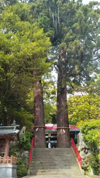八幡朝見神社(大分県)
