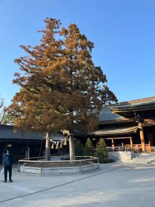寒川神社の{uncategorized: "未分類", other: "その他", undefined: "問題あり", building: "その他建物", grave: "お墓", sacred_gate: "鳥居", guardian: "狛犬", statue: "像", buddha: "仏像", history: "歴史", nature: "自然", garden: "庭園", animal: "動物", pagoda: "塔", temizu: "手水舎", mountain_gate: "山門・神門", sanctuary: "本殿・本堂", subordinate: "末社・摂社", art: "芸術", scenery: "景色", jizo: "地蔵", ema: "絵馬", goshuin: "御朱印", omikuji: "おみくじ", items: "授与品その他", amulet: "お守り", goshuincho: "御朱印帳", eats: "食事", festival: "お祭り", votive_dance: "神楽", shichigosan: "七五三参", wedding: "結婚式", experience: "体験その他", initially: "初詣", around: "周辺", anti_infection: "感染症対策"}