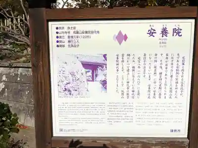 安養院　(田代寺）(神奈川県)