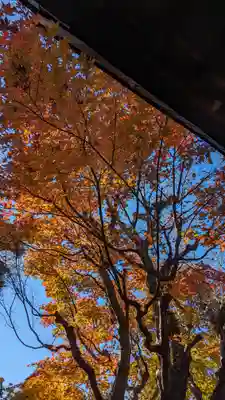 浄土院(京都府)