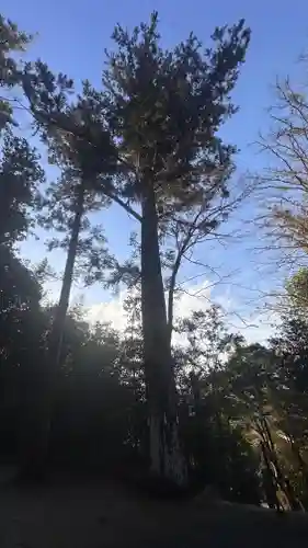 豐國神社(岡山県)