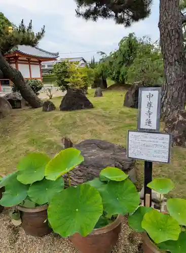 喜光寺(奈良県)