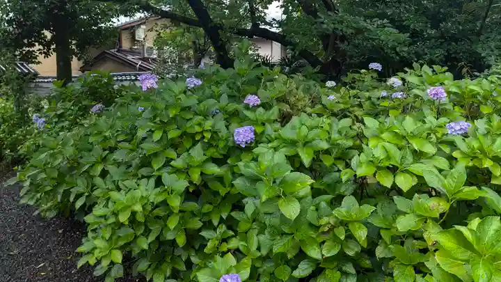 本法寺(京都府)