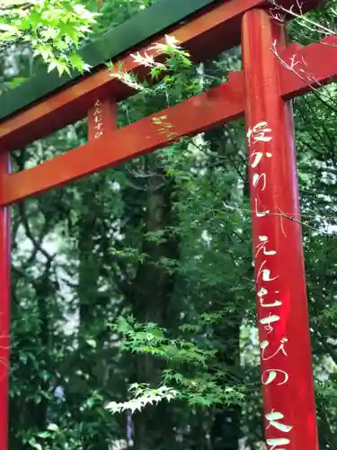 神徳稲荷神社の鳥居