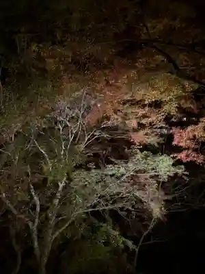 高山寺(京都府)