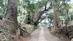 縣神社(千葉県)