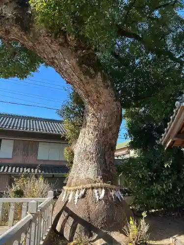 大社神社(愛知県)