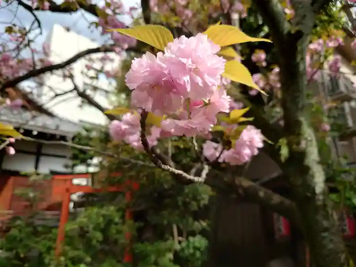 宝蔵寺(京都府)