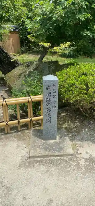 戒壇院(福岡県)