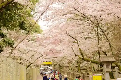 金刀比羅宮のその他建物