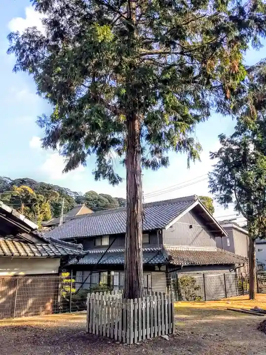 神明社(犬山神明社)の自然