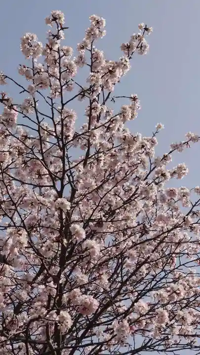 相馬神社の自然