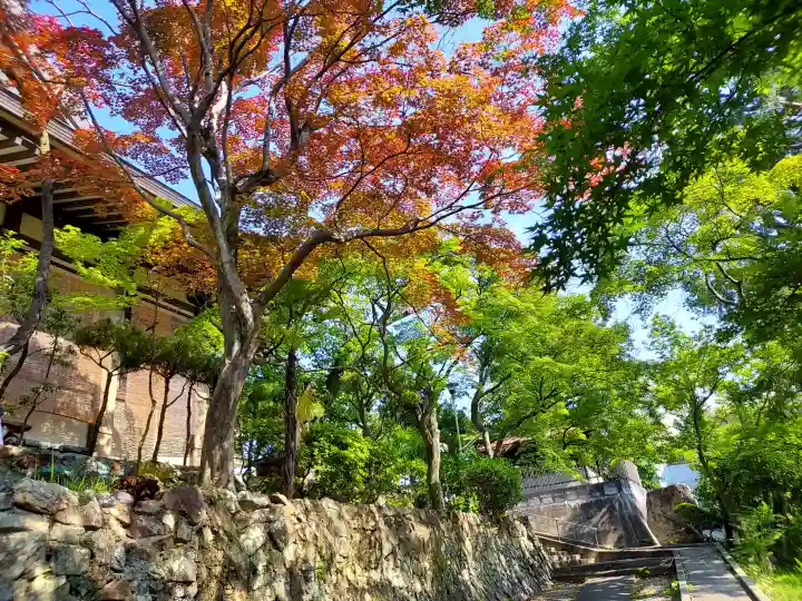 円満寺の{uncategorized: "未分類", other: "その他", undefined: "問題あり", building: "その他建物", grave: "お墓", sacred_gate: "鳥居", guardian: "狛犬", statue: "像", buddha: "仏像", history: "歴史", nature: "自然", garden: "庭園", animal: "動物", pagoda: "塔", temizu: "手水舎", mountain_gate: "山門・神門", sanctuary: "本殿・本堂", subordinate: "末社・摂社", art: "芸術", scenery: "景色", jizo: "地蔵", ema: "絵馬", goshuin: "御朱印", omikuji: "おみくじ", items: "授与品その他", amulet: "お守り", goshuincho: "御朱印帳", eats: "食事", festival: "お祭り", votive_dance: "神楽", shichigosan: "七五三参", wedding: "結婚式", experience: "体験その他", initially: "初詣", around: "周辺", anti_infection: "感染症対策"}