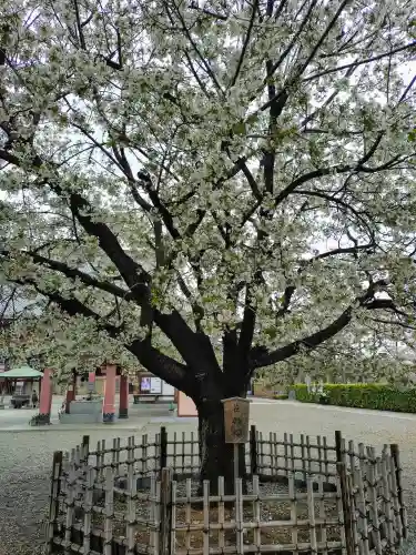 池上本門寺(東京都)