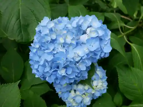 観音山慈眼院（高崎観音）(群馬県)