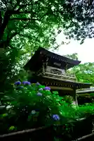 浄智寺(神奈川県)