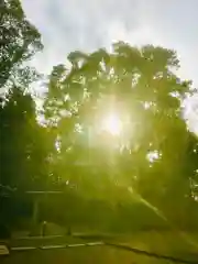 大宮神社の自然