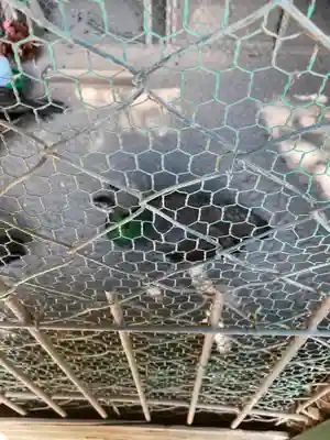 岩槻久伊豆神社(埼玉県)