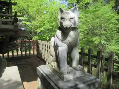 武蔵御嶽神社の狛犬