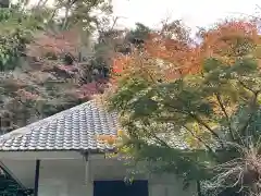 明月院(神奈川県)