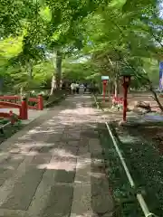 淨眞寺(東京都)